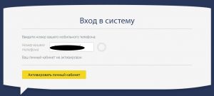 Pay PS (ПайПС) оформить займ - официальный сайт, отзывы, личный кабинет